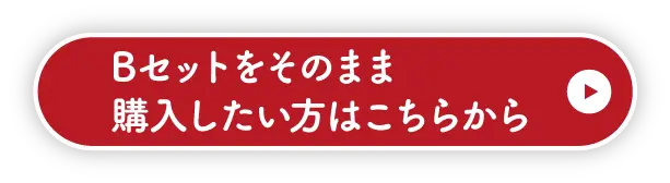 Bセットをそのまま購入したい方はこちら