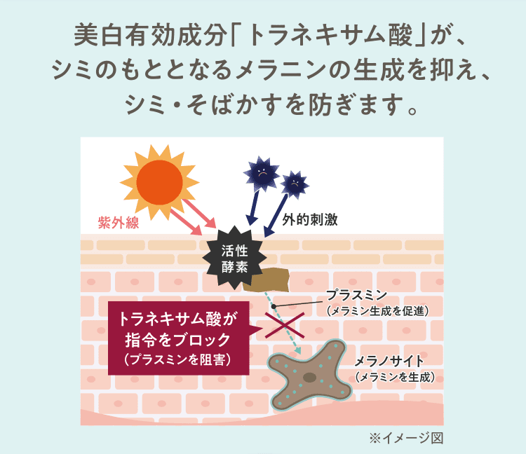 美白有効成分「トラネキサム酸」が、シミのもととなるメラニンの生成を抑え、シミ・そばかすを防ぎます。
