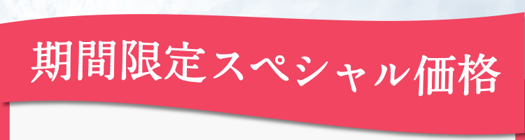 期間限定スペシャル価格