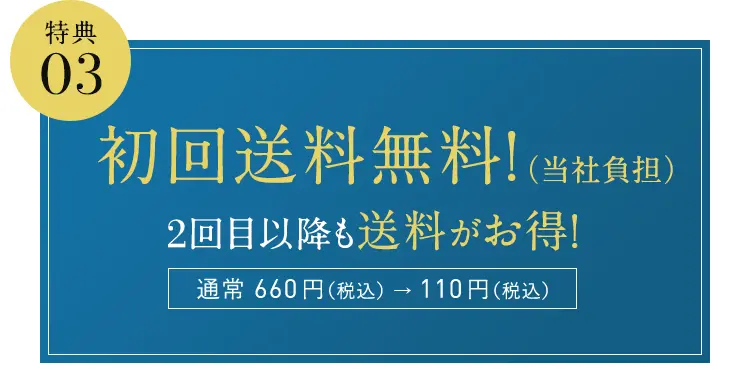 特典03 初回送料無料! 2回目以降も送料がお得! 通常 660円(税込)→110円(税込)