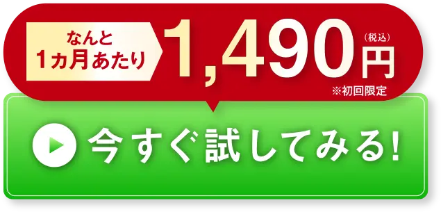 今すぐ試してみる！