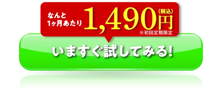 今すぐ試してみる！