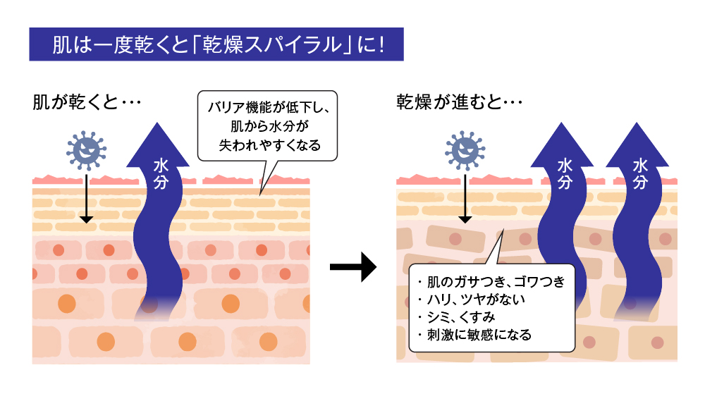 8. 保湿因子の役割：肌トラブルや乾燥を防ぐ