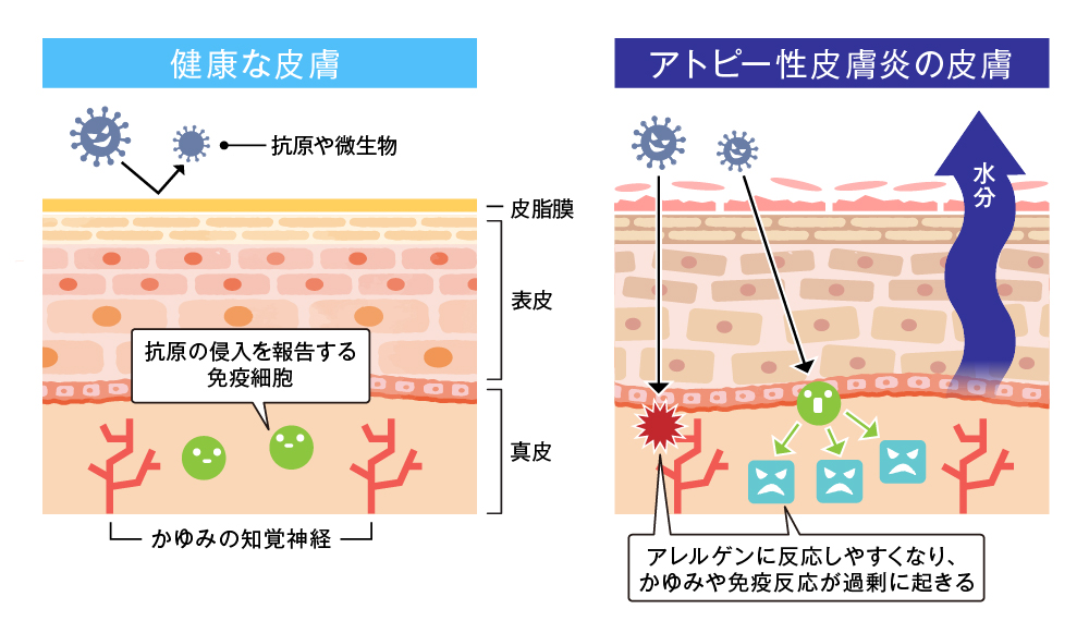 医師に連絡する時期