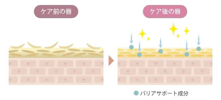 ノイズカットリップパック_特徴02